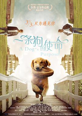 制服丝袜中文