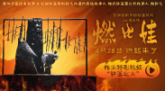 极品快播