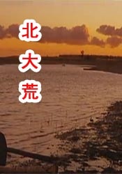 成人黄色大片