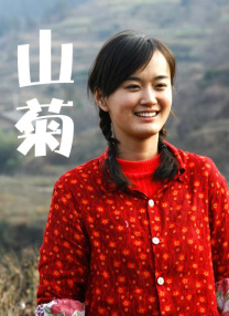 葵花宝典电影