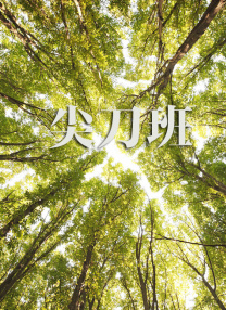 欧美激情一区二区