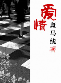 久久a视频