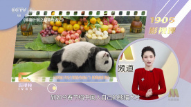 国产自在自线午夜精品视频